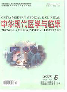 中华现代医学与临床杂志