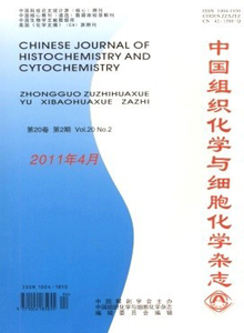 中国组织化学与细胞化学杂志
